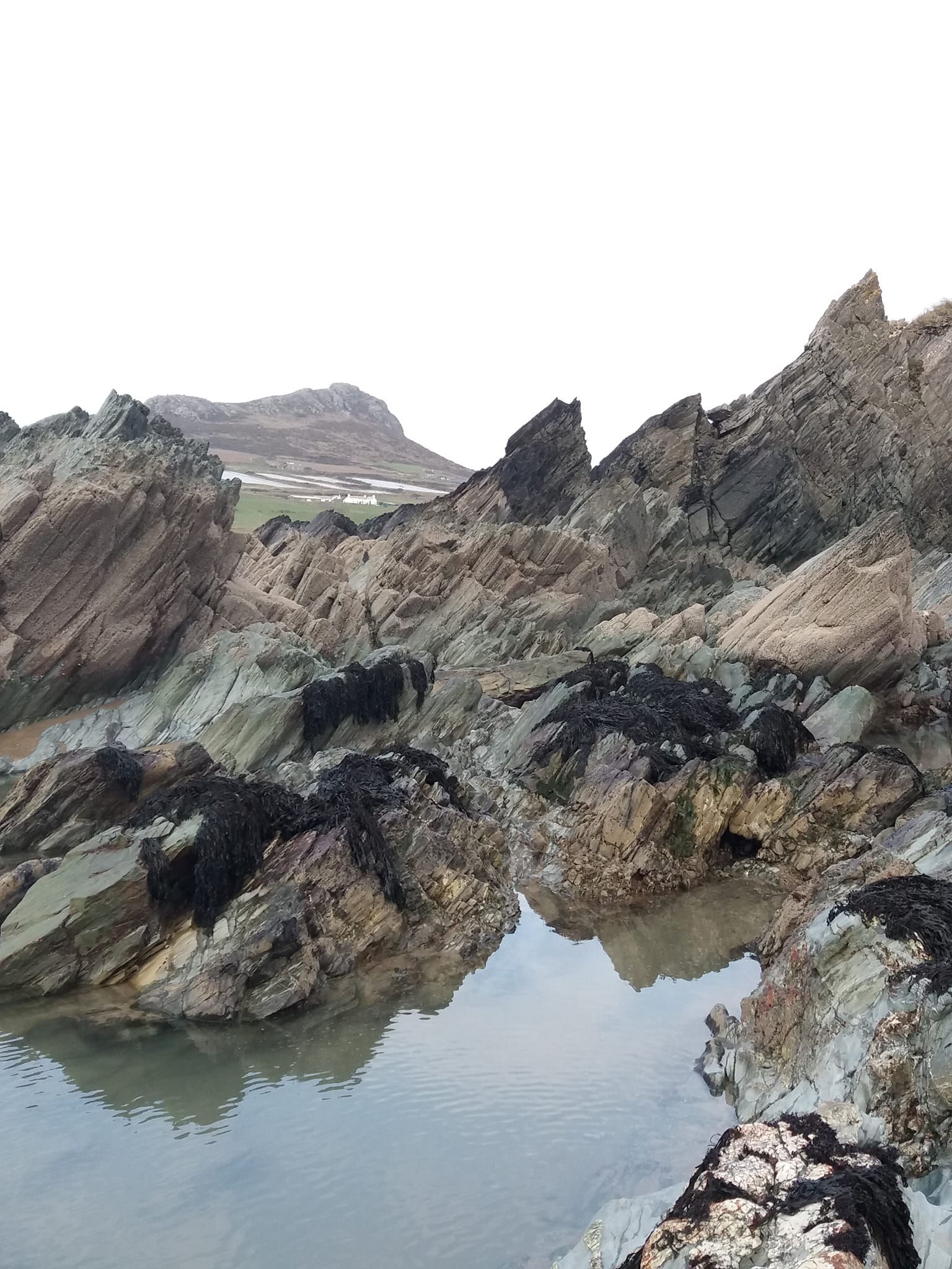 After a walk to Carn Llidi why not explore the rock pools at Whitesands bay?
