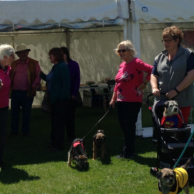 Borderfest 2019