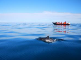 Ramsey sound with Voyages of Discovery