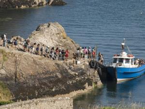 Sail from Martins Haven to land on Skomer