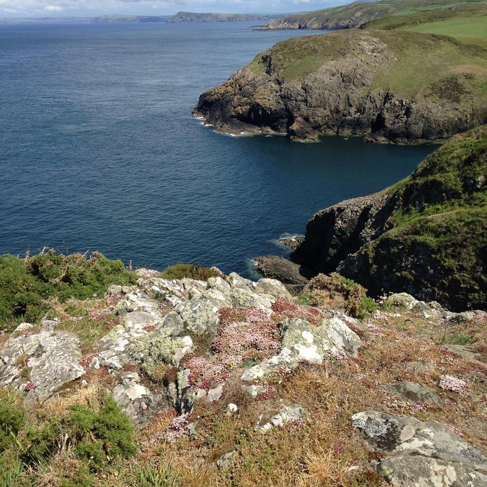 Walking towards Strumble Head